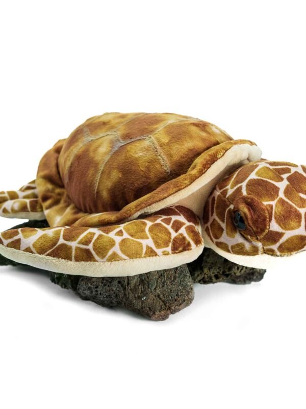 Peluche Tartaruga castanha